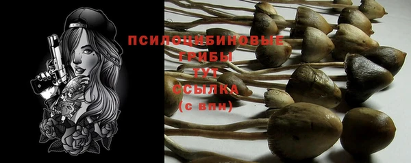 гидропоника Новозыбков